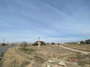 ALKOLOİD YOLUNA CEPHELİ TARLA