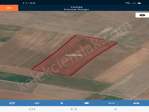 SARAYKIRI(YAKUPŞEVKİPAŞA)MAHALLESİNDE TARLA