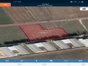 MALAZGİRT MAHALLESİNDE ÇOBANLAR YOLUNA SIFIR TARLA