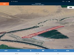 YAYILGAN(KIRKGÖZ)MAHALLESİNDE TARLA