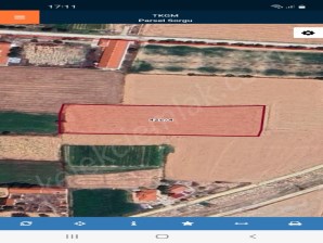 İHSANİYE(SARAYKIRI)MAHALLESİNDE TARLA