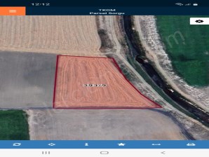 SELÇUKLU MAHALLESİNDE TARLA