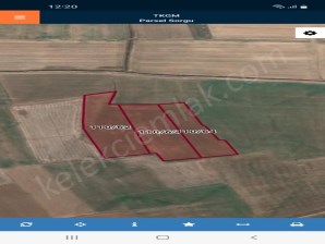 YILDIRIM(KIZILHÜYÜK)MAHALLESİNDE 3 ADET TARLA