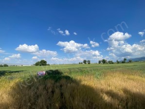 KIRKGÖZ MAHALLESİNDE TARLA