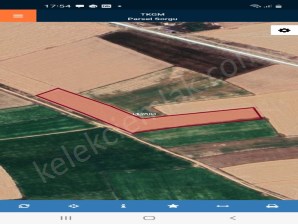 YENİ TEKKE YANINDA TARLA