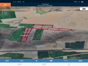 SELÇUKLUDA TOPLU TARLA