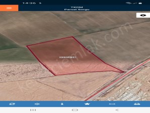 TAŞAĞIL YOLUNA CEPHELİ TARLA