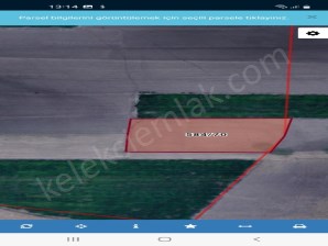 KIRKGÖZ(DEVELİ KUYLUŞ)TA TARLA