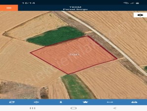 KIRKGÖZ MAHALLESİNDE YOLA CEPHELİ TARLA