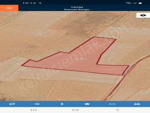 KARAYOKUŞ YOLUNDA TARLA