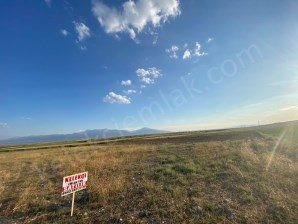 ŞIHLAR MAHALLESİNDE YOLA CEPHELİ TARLA