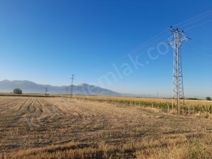 ÇOBANLAR YOLUNA CEPHELİ TARLA