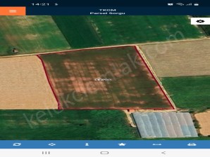 BOZKUŞ(ŞIHLAR)MAHALLESİNDE TARLA