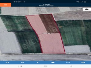 ŞIHLAR MAHALLESİNDE BÜYÜK TARLA