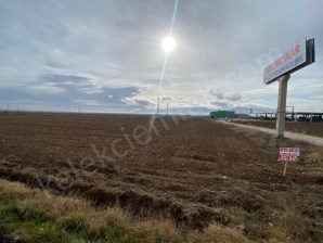 ÇOBANLAR YOLUNA CEPHELİ TARLA