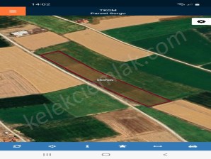 GÖLBAŞI(HAMZABEY)MAHALLESİNDE YOLA CEPHELİ TARLA