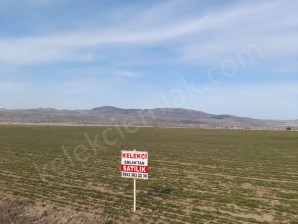 TAŞAĞIL YOLUNA CEPHELİ TARLA