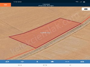 TAŞAĞIL YOLUNA CEPHELİ TARLA