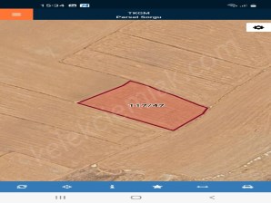 TAŞAĞIL YOLUNA YAKIN TARLA