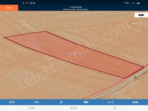 TAŞAĞIL YOLUNA CEPHELİ TARLA