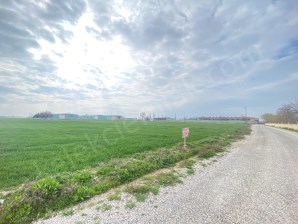 CANLI HAYVAN PAZARI KARŞISINDA YOLA CEPHELİ TARLA