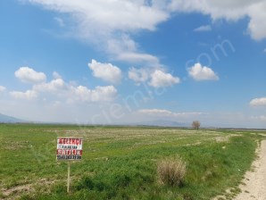 KALINTOPRAK(SELÇUKLU)MAHALLESİNDE YOLA CEPHELİ TARLA