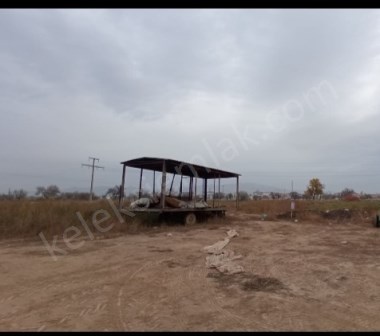 GÖRELEKTE ÇEVRE YOLUNA YAKIN TARLA