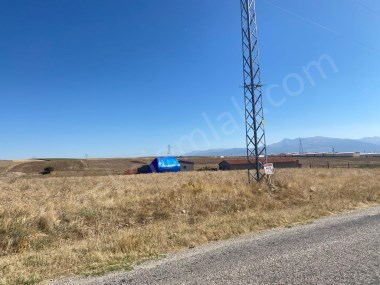 TAŞAĞIL YOLUNDA IPARDA UYGUN TARLA