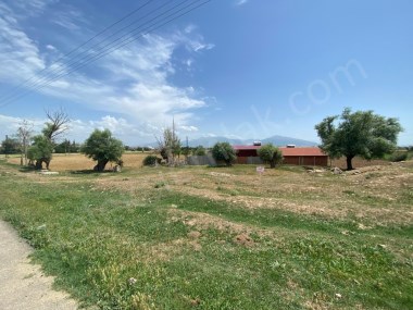 ALKOLOİD YOLUNDA TİCARİ ARSA