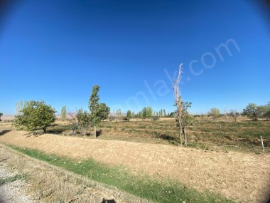 2. BOLOVA KARŞISINDA YATIRIMLIK TARLA