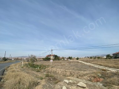 ALKOLOİD YOLUNA CEPHELİ TARLA