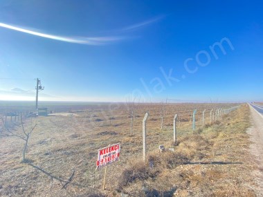 ÇOBANLAR YOLUNA CEPHELİ CEVİZ BAHÇESİ