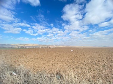 ÇOBANLAR YOLUNDA 3 ADET TARLA