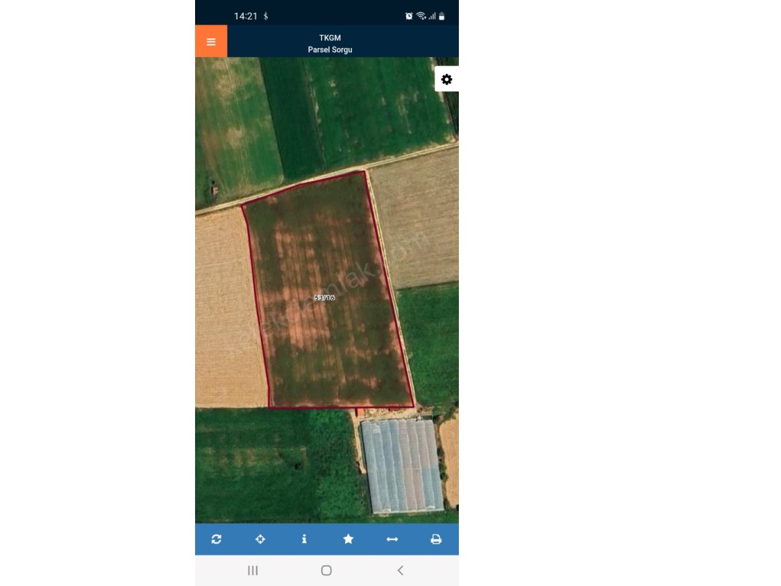 BOZKUŞ(ŞIHLAR)MAHALLESİNDE TARLA