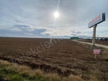 ÇOBANLAR YOLUNA CEPHELİ TARLA