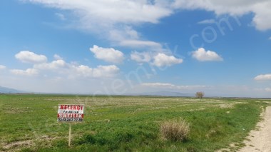KALINTOPRAK(SELÇUKLU)MAHALLESİNDE YOLA CEPHELİ TARLA
