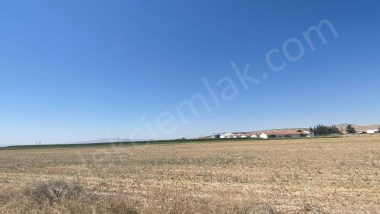 KALINTOPRAKTA ÇOBANLAR YOLUNA YAKIN TOPLAM 117 DEKAR TARLA