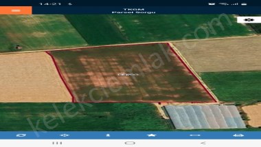 BOZKUŞ(ŞIHLAR)MAHALLESİNDE TARLA