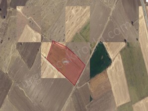 ERKİLET TEPEDE TEK TAPU 14 DÖNÜM TARLA