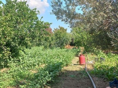 MERSİN MERKEZE YAKIN MUHTEŞEM BAHÇE