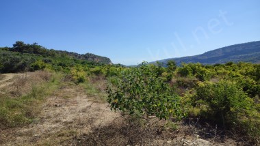 A GAYRİMENKUL DEN KARAHACILI SINIRLARI İÇERİSİNDE EMİRLERE ÇOK YAKIN DÜZ ZEMİNLİ SATILIK BAHÇE 
