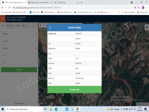 Susurluk Dereköy Mahallesinde Karapürçek Yoluna Cepheli Satılık Tarla