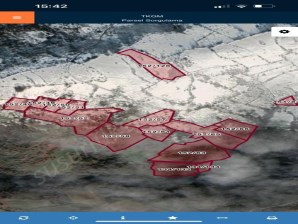 Susurluk Yaylaçayır Köyünde Satılık Cevizlik