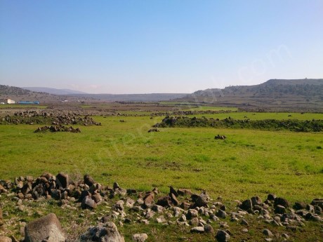 LOJİSTİK KÖY BİTİŞİĞİNDE SATILIK 17.250 M2 TARLA...