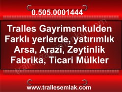 TRALLES GAYRİMENKULDEN SULTANHİSARDA SATILIK ZEYTİNLİK: