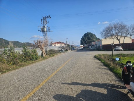 TRALLES GAYRİMENKULDEN ORTACADA SATILIK ARSA: