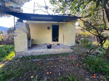 TRALLES GAYRİMENKULDEN CİNCİNDE SATILIK MÜSTAKİL KÖY EVİ: