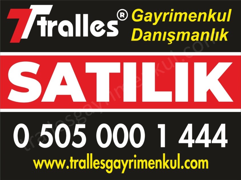 TRALLES GAYRİMENKULDEN GÖDRENLİDE SATILIK ZEYTİNLİK: