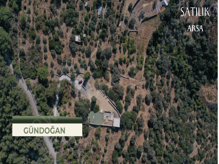Bodrum Gündoğanda Taş Evli Çiftlik Arazisi