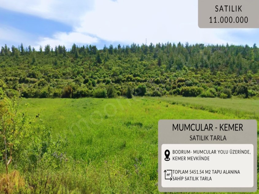 Bodrum Mumcularda Satılık Tarla
